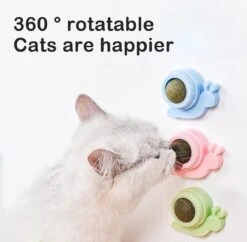 6PACK Catnip Wall Ball, Catnip Toy, Tandenreiniging Cat Bite Toy, Draaibaar Spelen Eetbare Ballen Tease Molar Stick Kauwspeeltje Voor Katten Zelf