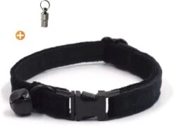 ACE Pets Kattenhalsband Met Belletje – Halsband Kat & Kitten – Kittenhalsband & Kattenbandje – Kattenbelletje – Pluche Velvet – Zwart