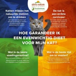 Almo Nature Natvoer Met 100% Vers Vlees Of Vis Voor Katten – HFC Complete – 24 X 70g – In 4 Smaken – Kip Met Wortels – 24 X 70 Gram
