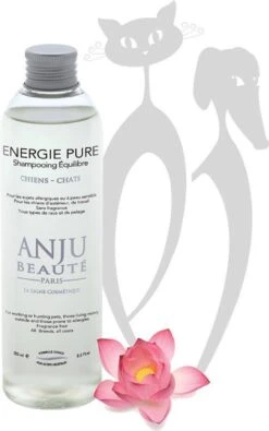Anju Beauté, Energie Pure Shampoo 250 ML