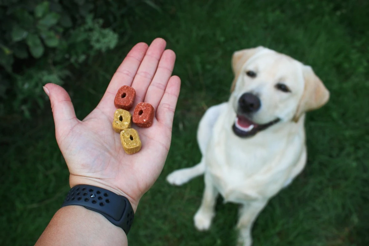 BY MARLEY – Proefpakket Trainers | Beloning Snack Voor Honden