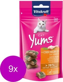 Vitakraft Beaphar Catnip-Bits Vitamin – Kattensnack – 18 X 35 G