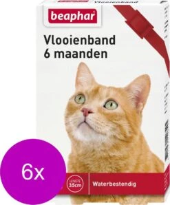 Beaphar Vlooienband 6 Maanden Kat 35 Cm – Anti Vlooienmiddel – 6 X Rood