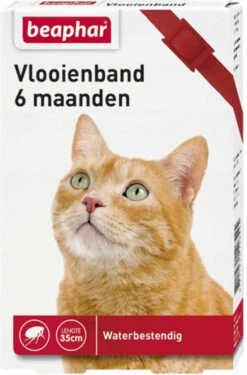 Beaphar Vlooienband Kat – Rood – 1 Stuk