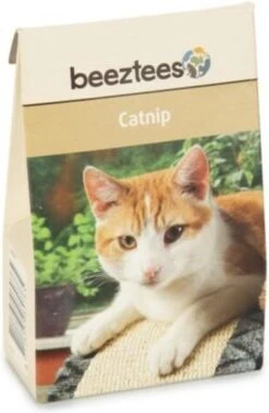 Beeztees Catnip In Doosje – 20gr