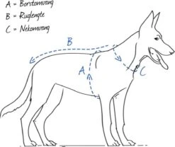 Beeztees – Hondentuig – Mac Leather – Bruin – 60-100 Cm