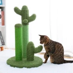 Cactus Krabpaal Voor Katten/Kittens – Inclusief Speelgoed Met Bal – Geschikt Voor Kittens – Krabpalen – Meubelbeschermers – Groen – Maat L 68CM