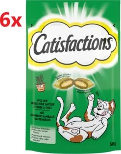 Catisfactions – Kattensnack Catnip – Kattenkruid – 6x60g