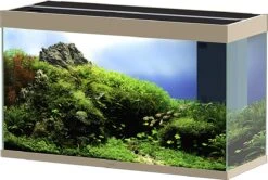 Ciano Emotions Pro 100 Mystic New Aquarium + Meubel
