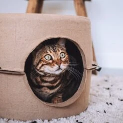 District 70 BUNKER Kartonnen Huis Voor Katten – Om Te Krabben, Klimmen En Slapen – Inclusief Catnip Balletjes!