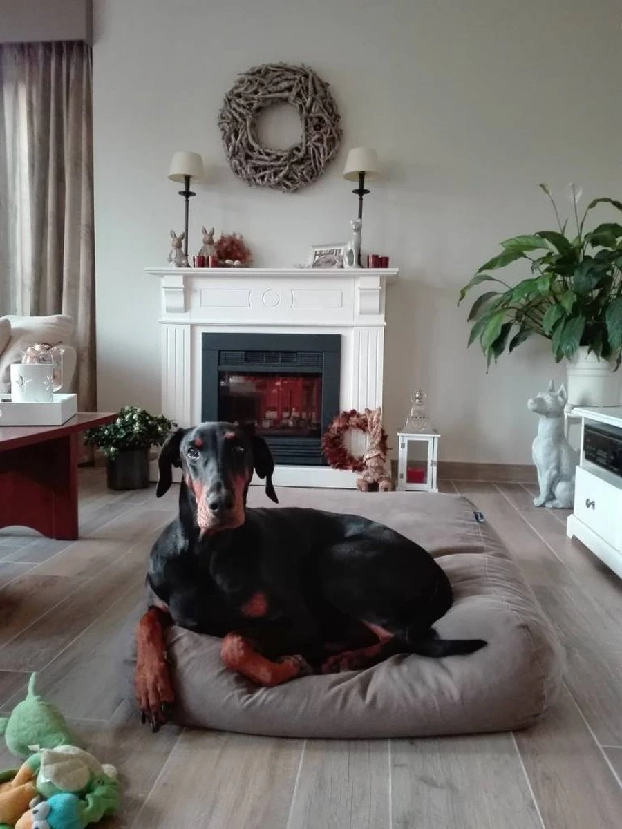 Dog’s Companion – Hondenkussen / Hondenbed Taupe Katoen Extra Small – XS – 55x45cm