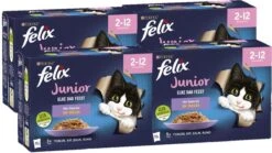 Felix Elke Dag Feest Mix Selectie In Gelei Junior – Katten Droogvoer – 48 X 85g