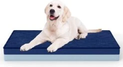 Flightmode – UTTU Hondenbed Voor Kleine Honden, Zacht Kussen Met Wasbare Overtrek, Orthopedisch, Waterdicht Matras Voor Extra Ondersteuning (M)
