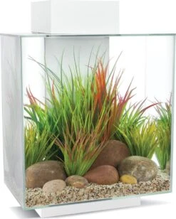 Fluval Edge Aquarium II 2.0 Wit 46 Liter