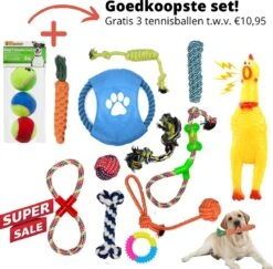 (Goedkoopste) Honden Speelgoed Set 15 Stuks Geschikt Voor Puppy’s T/m Middelgrote Honden – Honden Kauw Speelgoed – 15 Stuks – Hondenspeeltjes – Intelligentie – Touw – Flostouw – Bijtring – Bal – Huisdieren Speelgoed