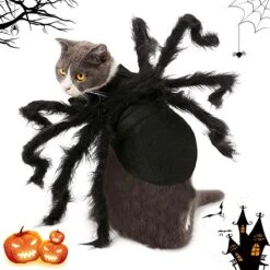 Halloween Kostuum Voor Honden En Katten – Halloween Decoratie Versiering – Katten En Honden Kleding