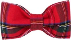 Halsband Met Rood Geruite Strik S – Hondenstrik – Kerst – Strik – Schotse Ruit – Rood – Chique – Feestelijk – Maat S