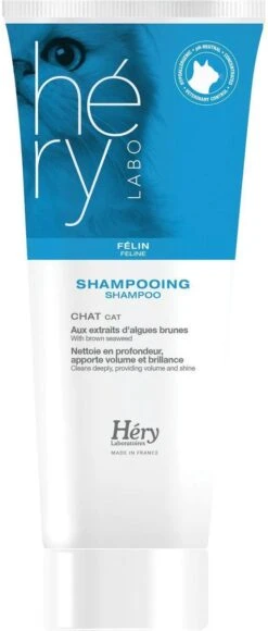 Hery Shampoo Kat