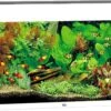 Juwel Rio Aquarium – 81x50x36 Cm – 125L – Wit