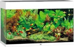 Juwel Rio Aquarium – 81x50x36 Cm – 125L – Wit
