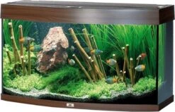 Juwel Vision Aquarium – 92x55x41 Cm – 180L – Bruin