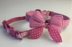 Katten Halsband Leer – 2 Stuks – Roze – 27 Tot 33 CM Halsbreedte Verstelbaar