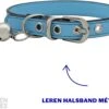Kattenhalsband Leer | Halsband Kat | Kitten | Leren Kattenhalsbandje Met Belletje En Gespsluiting In Het Blauw