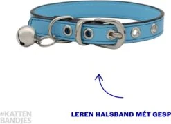 Kattenhalsband Leer | Halsband Kat | Kitten | Leren Kattenhalsbandje Met Belletje En Gespsluiting In Het Blauw