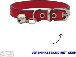 Kattenhalsband Leer | Halsband Kat | Kitten | Leren Kattenhalsbandje Met Belletje En Gespsluiting In Het Rood