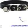 Kattenhalsband Leer | Halsband Kat | Kitten | Leren Kattenhalsbandje Met Belletje En Gespsluiting In Het Zwart