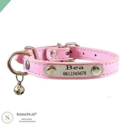 Kattenhalsband Met Belletje – Katten Halsband Graveren Met Naam En Telefoonnummer – XXS Roze (nek 17 X 21 Cm)