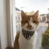 Kattensjaaltje – Ruit Patroon – Zwart/Wit- Verstelbaar Katten Halsbandje – Kleding Voor Katten – Strikje – Kattenbandje – Kitten