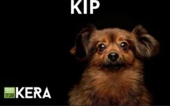 Kera Graanvrije Hondenbrokken – Kip 20 Kg