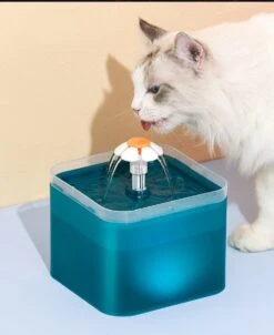 Loha-party Drinkfontein Voor Katten En Honden – Drinkfontein Kat – Waterfontein Met Filter – Kattenfontein – Drinkfontein Hond – Waterbak – Drinkbak – 2L -Cyaan