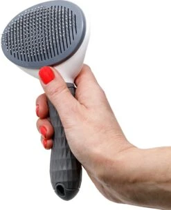 Lorell Pet Company Kattenborstel/Hondenborstel – Borstel Voor Langharig/kortharig -Hondenhaar En Kattenhaar Verwijderaar – Grijs