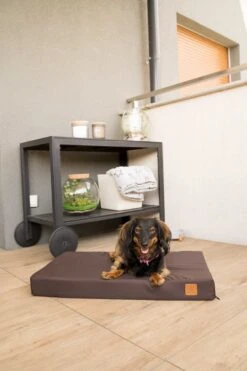 Melman Orthopedisch Hondenbed – L – Bruin – Codura – Orthopedische Hondenmand – Orthopedisch Benchkussen