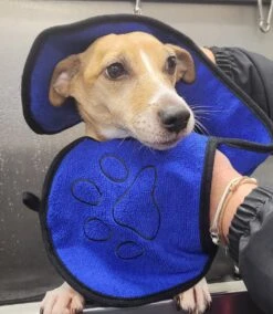 N4dogs – Hondenhanddoek Microvezel – Handdoek Hond – Droogdoek – Sterk Absorberend – Handdoek Met Zakken – 66×23 Cm – Honden Deken