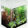 Nobleza Aquarium – 7L – 23x16x27.5 Cm – Wit