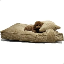 Orthopedisch Hondenkussen – Hondenmand Ribstof Premium L – Luxe Hondenbed 100x70cm – Bruin Tot 40 KG