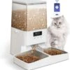 PETEMPO® Automatische Voerbak Kat – Voerautomaat – Bestuurbaar Met WiFi En Smartphone – Automatische Voerbak Voor Kat Of Hond – 5L
