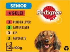 Pedigree Senior In Gelei Honden Natvoer – Vlees En Gevogelte In Gelei – 48 X 100 Gr