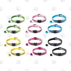 PetSpot – Halsband Kat En/of Kitten – Reflecterend – Met Belletje (optioneel) – Veiligheidssluiting – Set Van 12