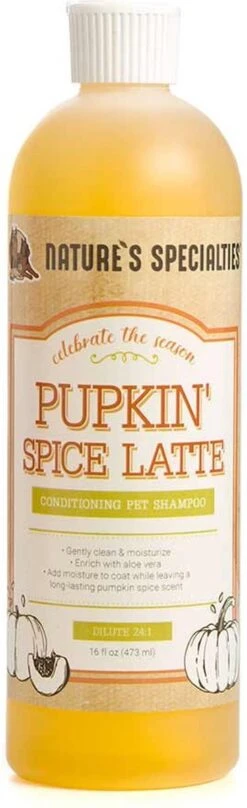 Pupkin’ Spice Latte Conditioning Shampoo