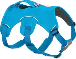 Ruffwear Web Master Harness Blauw – Hondenharnas – 81-107 Cm