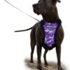 Sharon B – Hondentuig – Grote Hond – Camouflage – Paars – Hondenharnas – L – Mesh – Anti Trek Tuig – Easy Walk