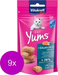 Vitakraft Crispy Crunch – Kattensnack – 8 X 60 G