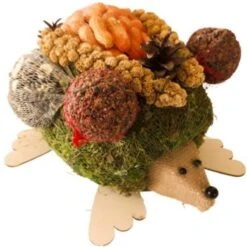 Vogelvoer – Kruipende Egel – Handgemaakt – Mos En Berkenhout – Afmeting: 30x35cm