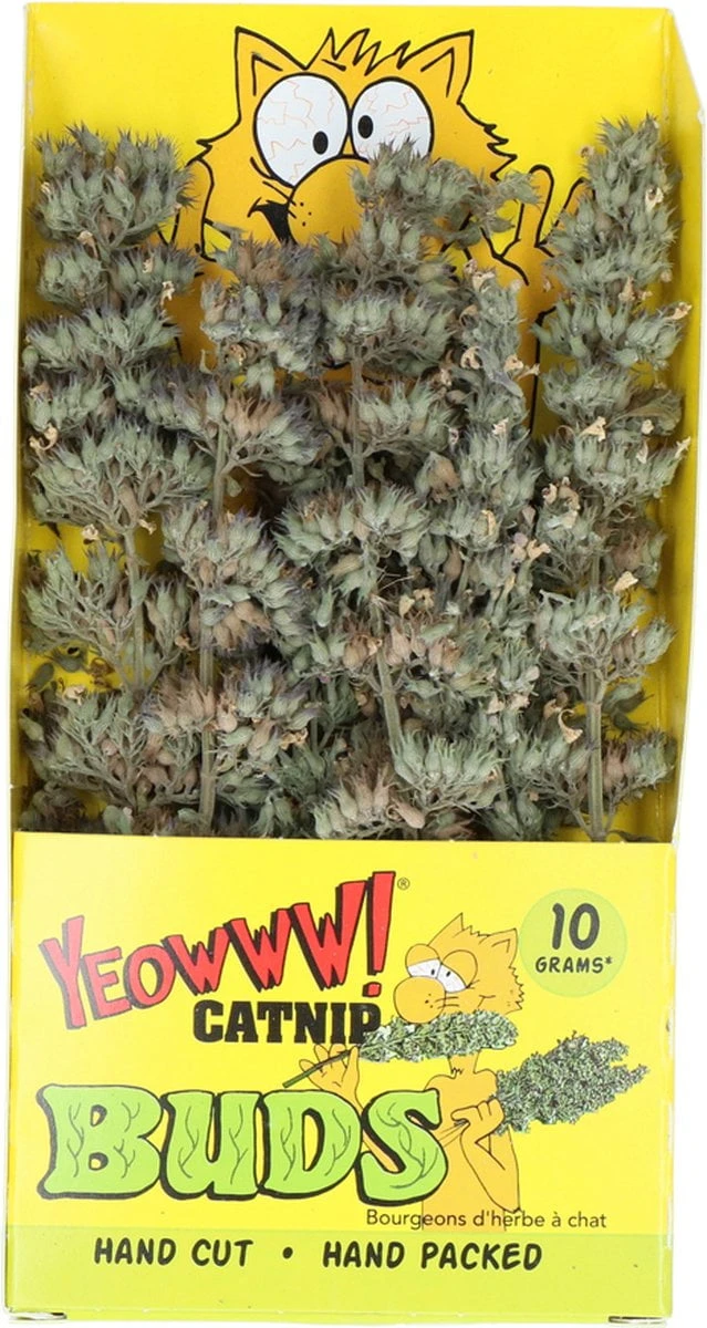 Yeowww! Catnip Buds – Catnip Voor Katten – Kattenkruid – Kattenspeelgoed – Navulling Voor Kattenspeeltjes – Biologische Catnip – Katten Snacks – Stress Verlagend – 10 Gram
